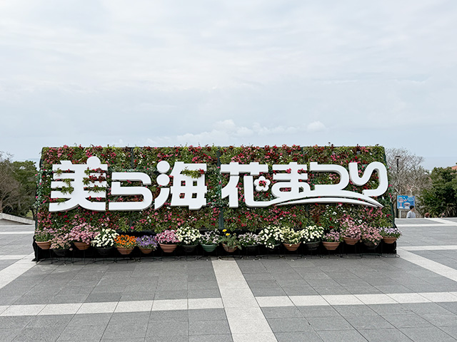 美ら海水族館